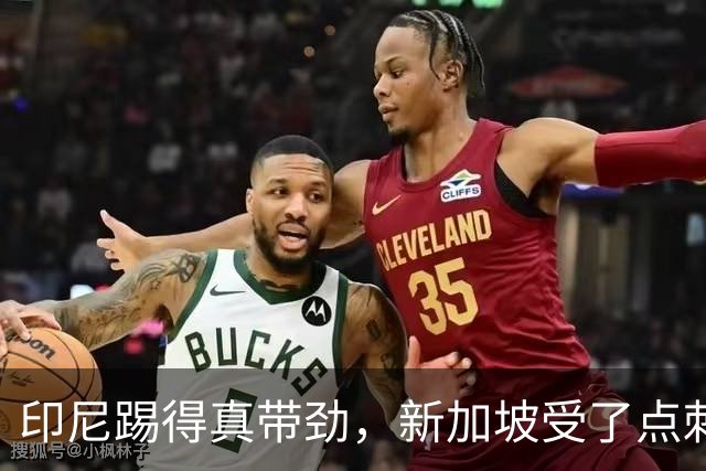 印尼踢得真带劲，新加坡受了点刺激，中国队的选择对吗？